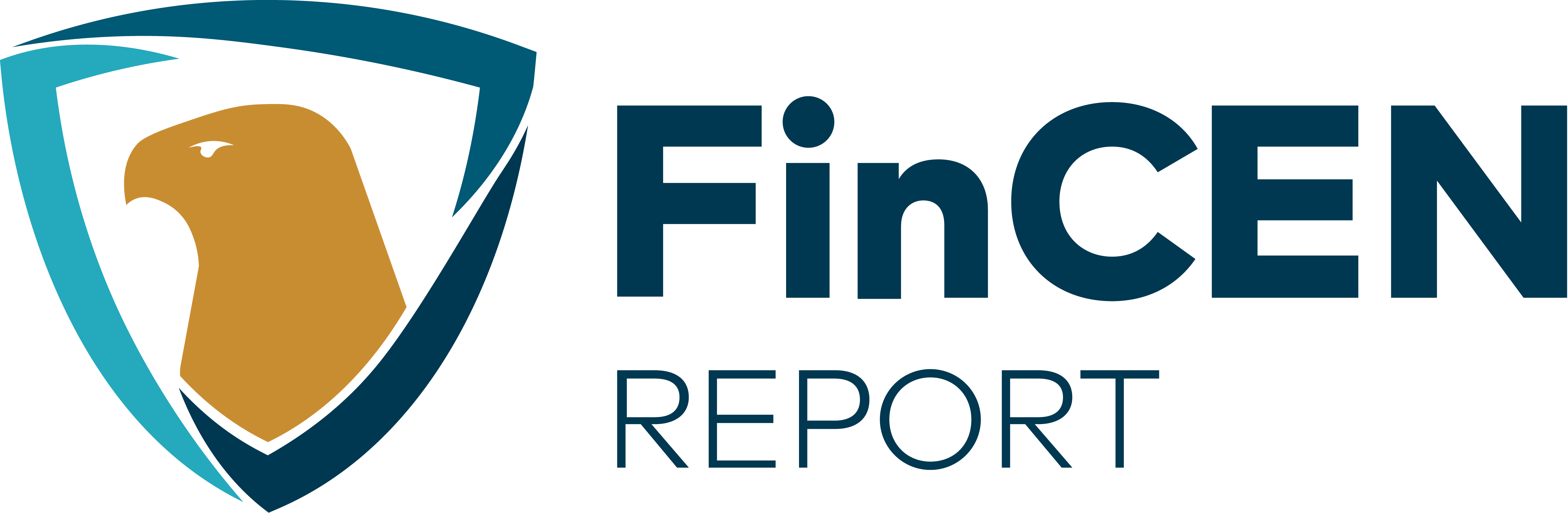 FinCEN Report